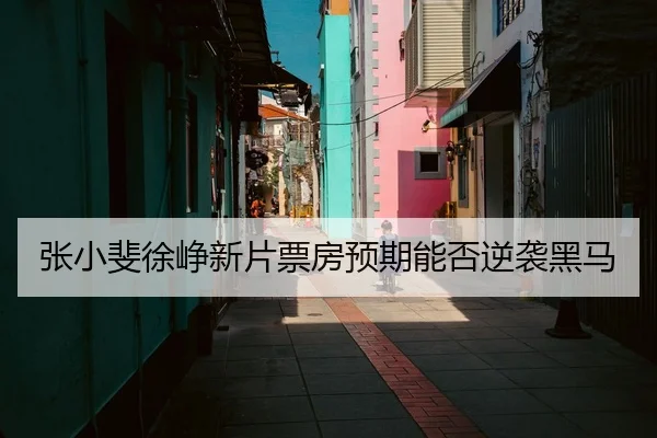张小斐徐峥新片票房预期能否逆袭黑马