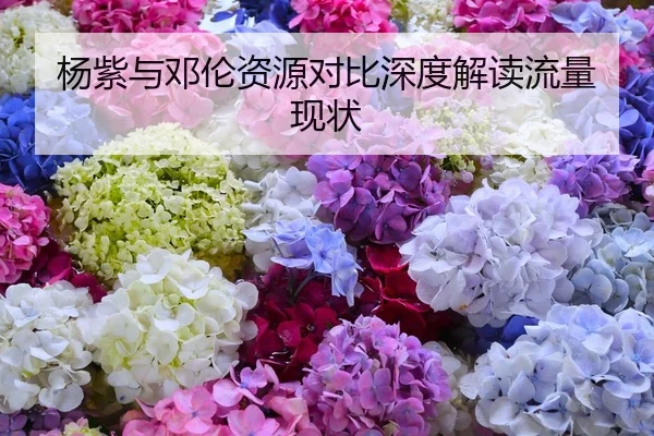 杨紫与邓伦资源对比深度解读流量现状