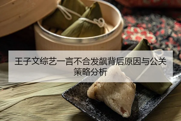 王子文综艺一言不合发飙背后原因与公关策略分析